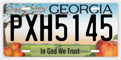 GA license plate PXH5145