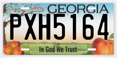 GA license plate PXH5164