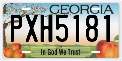 GA license plate PXH5181