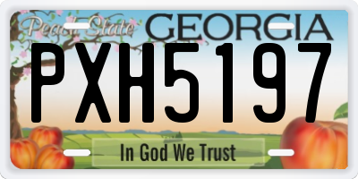 GA license plate PXH5197