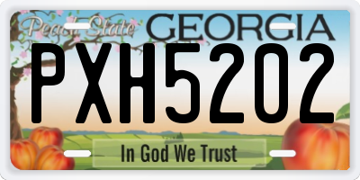 GA license plate PXH5202