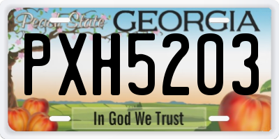 GA license plate PXH5203