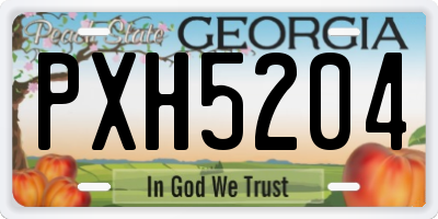GA license plate PXH5204