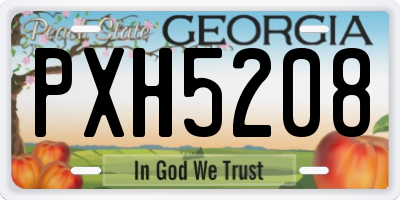 GA license plate PXH5208