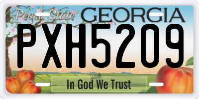 GA license plate PXH5209