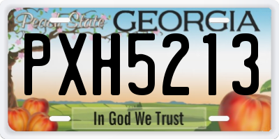 GA license plate PXH5213
