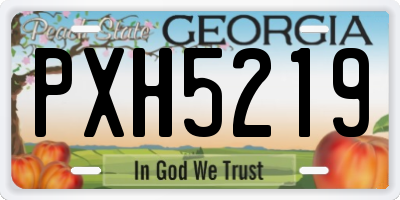 GA license plate PXH5219