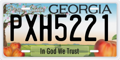 GA license plate PXH5221