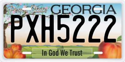 GA license plate PXH5222