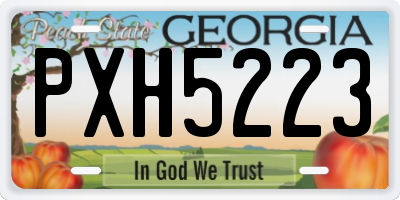 GA license plate PXH5223