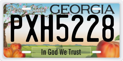GA license plate PXH5228