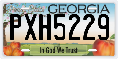GA license plate PXH5229