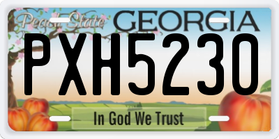 GA license plate PXH5230