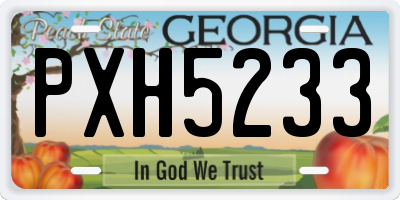 GA license plate PXH5233