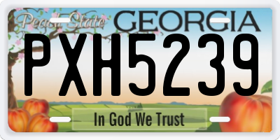 GA license plate PXH5239