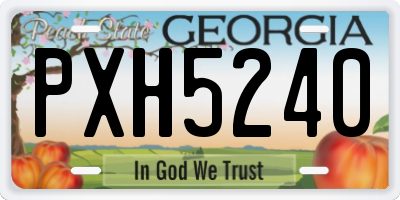 GA license plate PXH5240