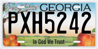 GA license plate PXH5242