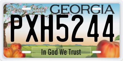 GA license plate PXH5244