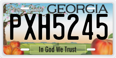 GA license plate PXH5245