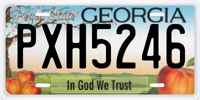 GA license plate PXH5246