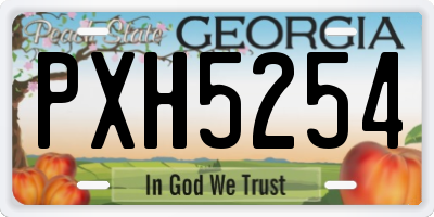 GA license plate PXH5254