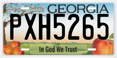 GA license plate PXH5265