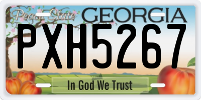 GA license plate PXH5267
