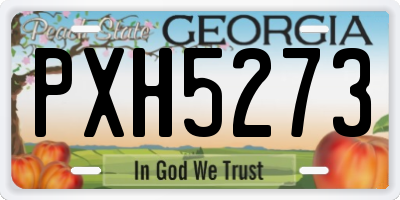 GA license plate PXH5273