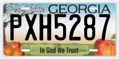 GA license plate PXH5287