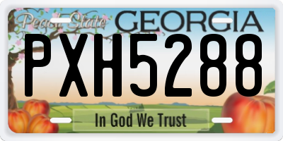GA license plate PXH5288