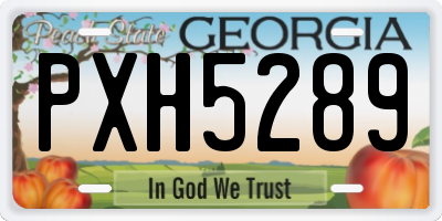 GA license plate PXH5289