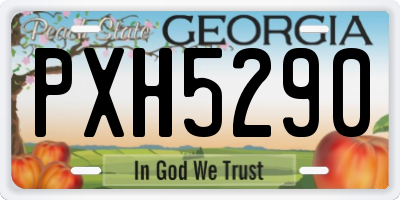 GA license plate PXH5290