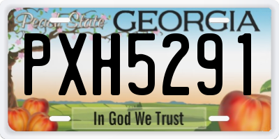 GA license plate PXH5291