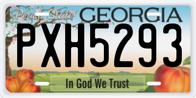 GA license plate PXH5293