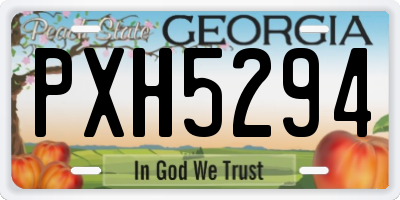 GA license plate PXH5294