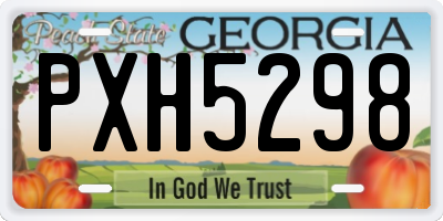 GA license plate PXH5298