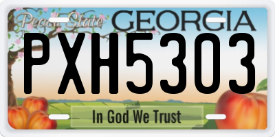 GA license plate PXH5303