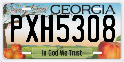 GA license plate PXH5308