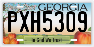 GA license plate PXH5309