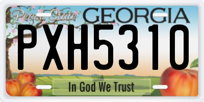 GA license plate PXH5310
