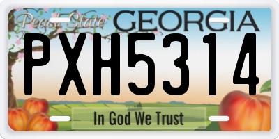 GA license plate PXH5314