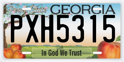 GA license plate PXH5315