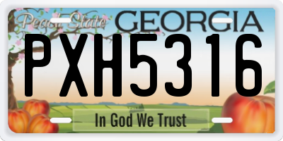 GA license plate PXH5316