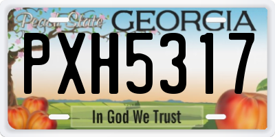 GA license plate PXH5317
