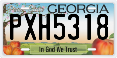 GA license plate PXH5318