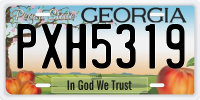 GA license plate PXH5319