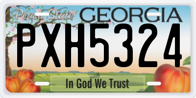 GA license plate PXH5324