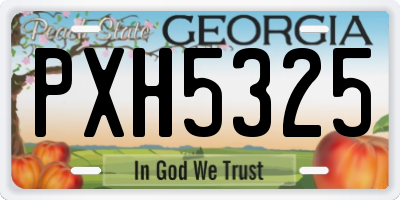 GA license plate PXH5325