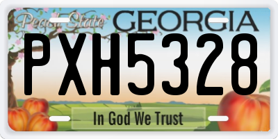 GA license plate PXH5328