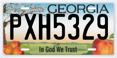 GA license plate PXH5329
